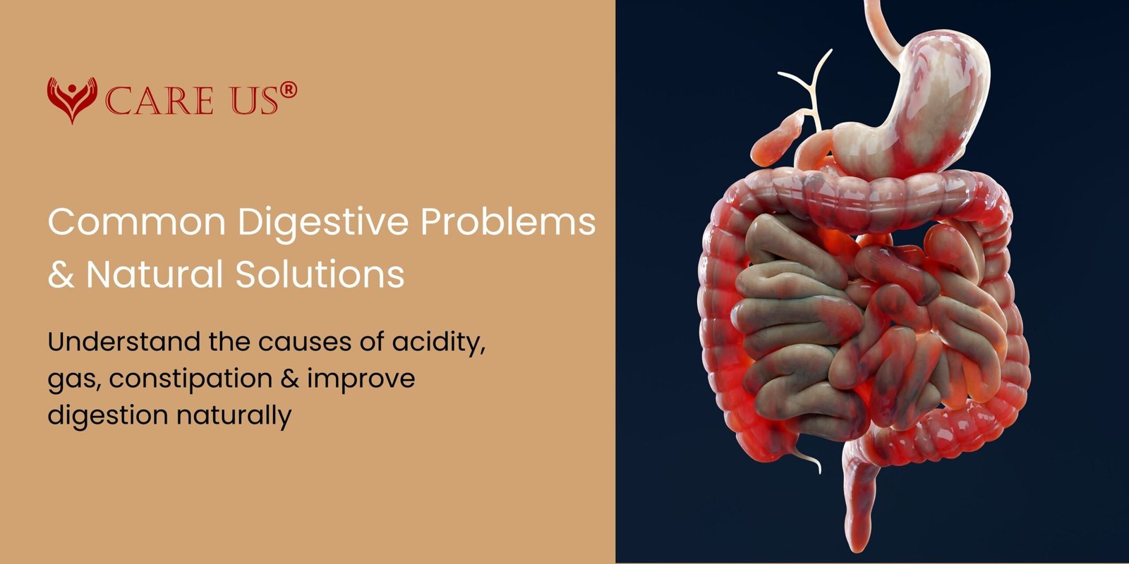 Common Digestive Problems and Natural Ways to Manage Them ...